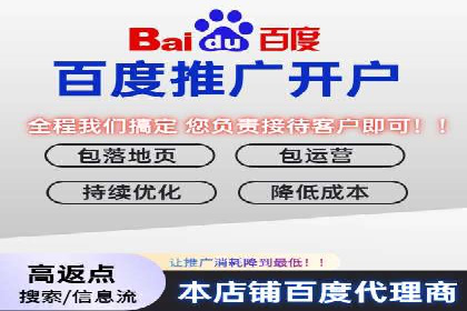 某品牌通过SEM优化实现品牌增长的故事